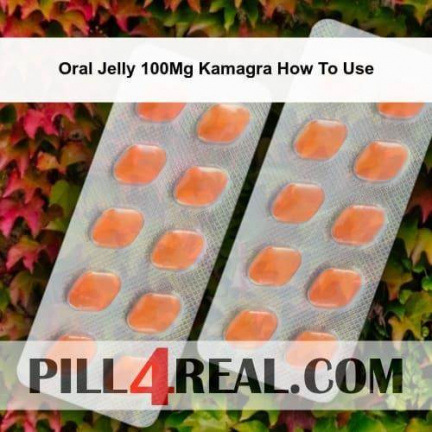 Oral Jelly 100Mg Kamagra How To Use 241