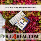 Oral Jelly 100Mg Kamagra How To Use 401