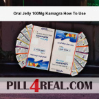 Oral Jelly 100Mg Kamagra How To Use 464