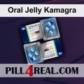 Oral Jelly Kamagra 222