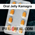 Oral Jelly Kamagra 843