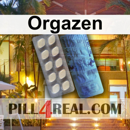 Orgazen 291