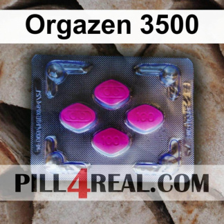 Orgazen 3500 091