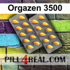 Orgazen 3500 104