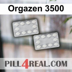 Orgazen 3500 650