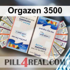 Orgazen 3500 957