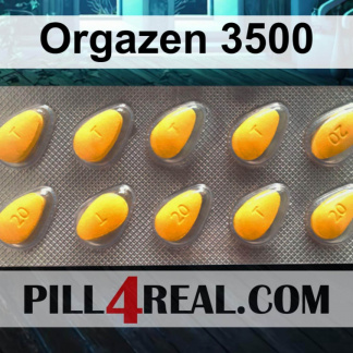 Orgazen 3500 966