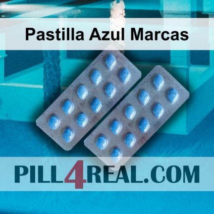 Pastilla Azul Marcas 203