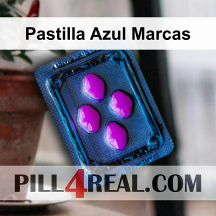 Pastilla Azul Marcas 244