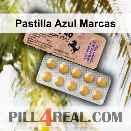 Pastilla Azul Marcas 637