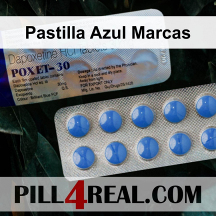 Pastilla Azul Marcas 851
