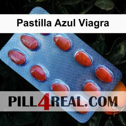 Pastilla Azul Viagra 258