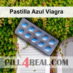Pastilla Azul Viagra 719