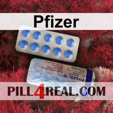 Pfizer 498