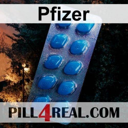 Pfizer 513