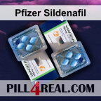 Pfizer Sildenafil 589