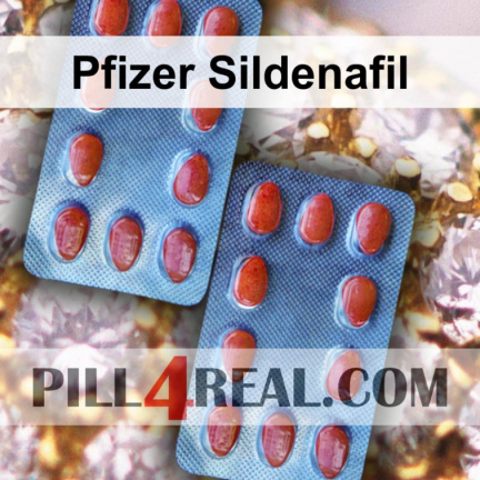 Pfizer Sildenafil 740