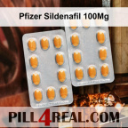 Pfizer Sildenafil 100Mg 024