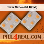 Pfizer Sildenafil 100Mg 693