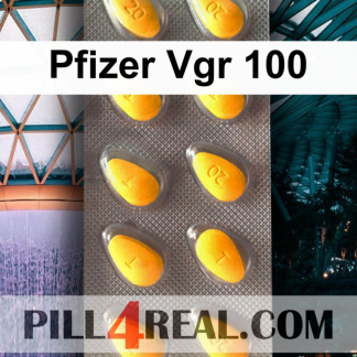 Pfizer Vgr 100 335
