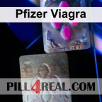 Pfizer Viagra 224