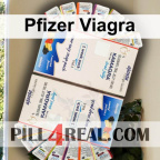 Pfizer Viagra 282