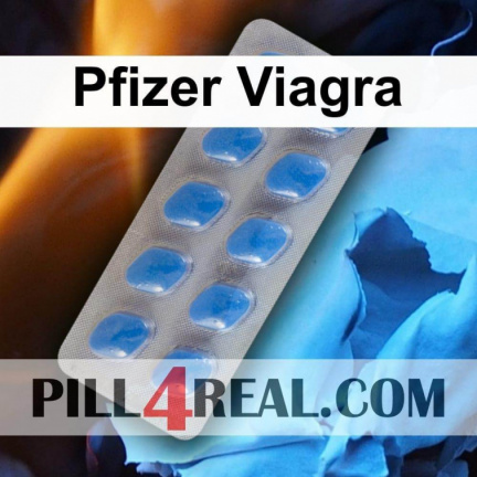 Pfizer Viagra 289