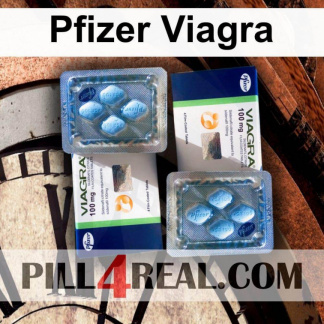 Pfizer Viagra 293