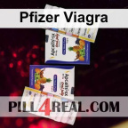 Pfizer Viagra 310