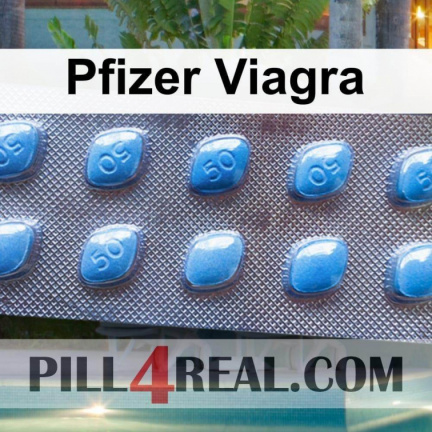 Pfizer Viagra 578