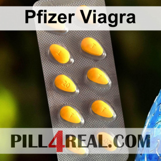 Pfizer Viagra 684