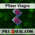 Pfizer Viagra 804