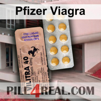 Pfizer Viagra 816