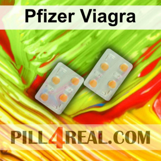 Pfizer Viagra 873
