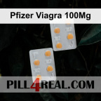 Pfizer Viagra 100Mg 224