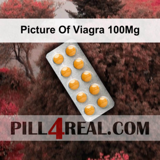 Picture Of Viagra 100Mg 188