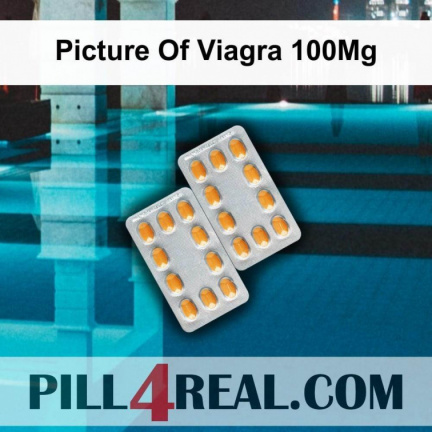 Picture Of Viagra 100Mg 544