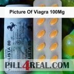 Picture Of Viagra 100Mg 561