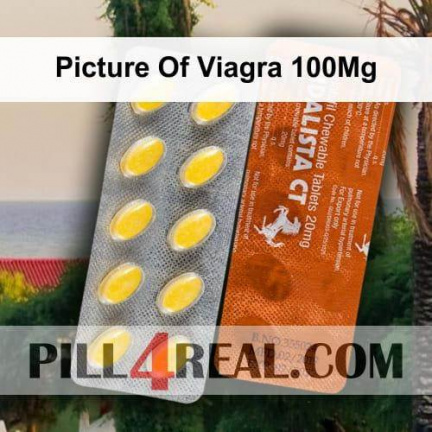 Picture Of Viagra 100Mg 576