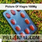 Picture Of Viagra 100Mg 990