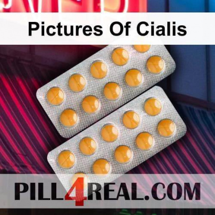 Pictures Of Cialis 876