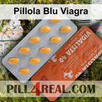 Pillola Blu Viagra 050
