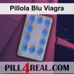 Pillola Blu Viagra 178