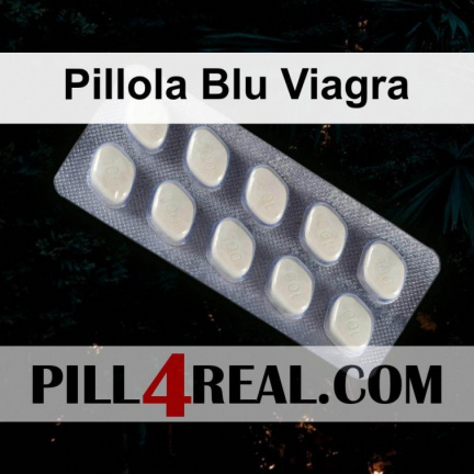 Pillola Blu Viagra 231