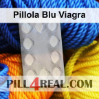 Pillola Blu Viagra 637