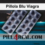 Pillola Blu Viagra 951