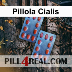 Pillola Cialis 176