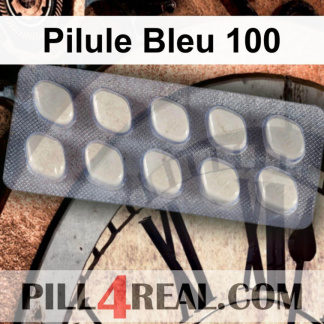 Pilule Bleu 100 080