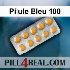 Pilule Bleu 100 538