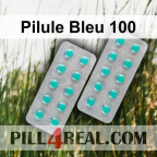 Pilule Bleu 100 721